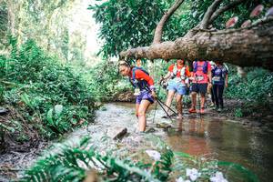 BIB: 
                            <button type="button" onclick="openModal(25515370)" class="btn btn-primary btn-sm float-right btn-popup" data-toggle="modal" data-target=".modal-high-quality">
                        <i class="fas fa-shopping-cart"></i> Add to Cart
                    </button>
                                            <button type="button" onclick="isThisMe(25515370, true)" class="btn btn-success btn-sm float-right btn-popup btn-isme hidden" data-toggle="tooltip" data-placement="bottom" title="นี่คือรูปของคุณใช่ไหม คลิกที่นี่เพื่อเอาเข้าอัลบั้ม">
                        <i class="fas fa-plus"></i> Add to album
                    </button>
                    <button type="button" onclick="isThisMe(25515370, false)" class="btn btn-warning btn-sm float-right btn-popup btn-isnotme hidden">
                        <i class="fas fa-ban"></i> Remove from album
                    </button>